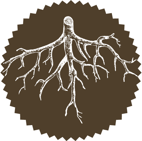 97223RootsLogo (1)
